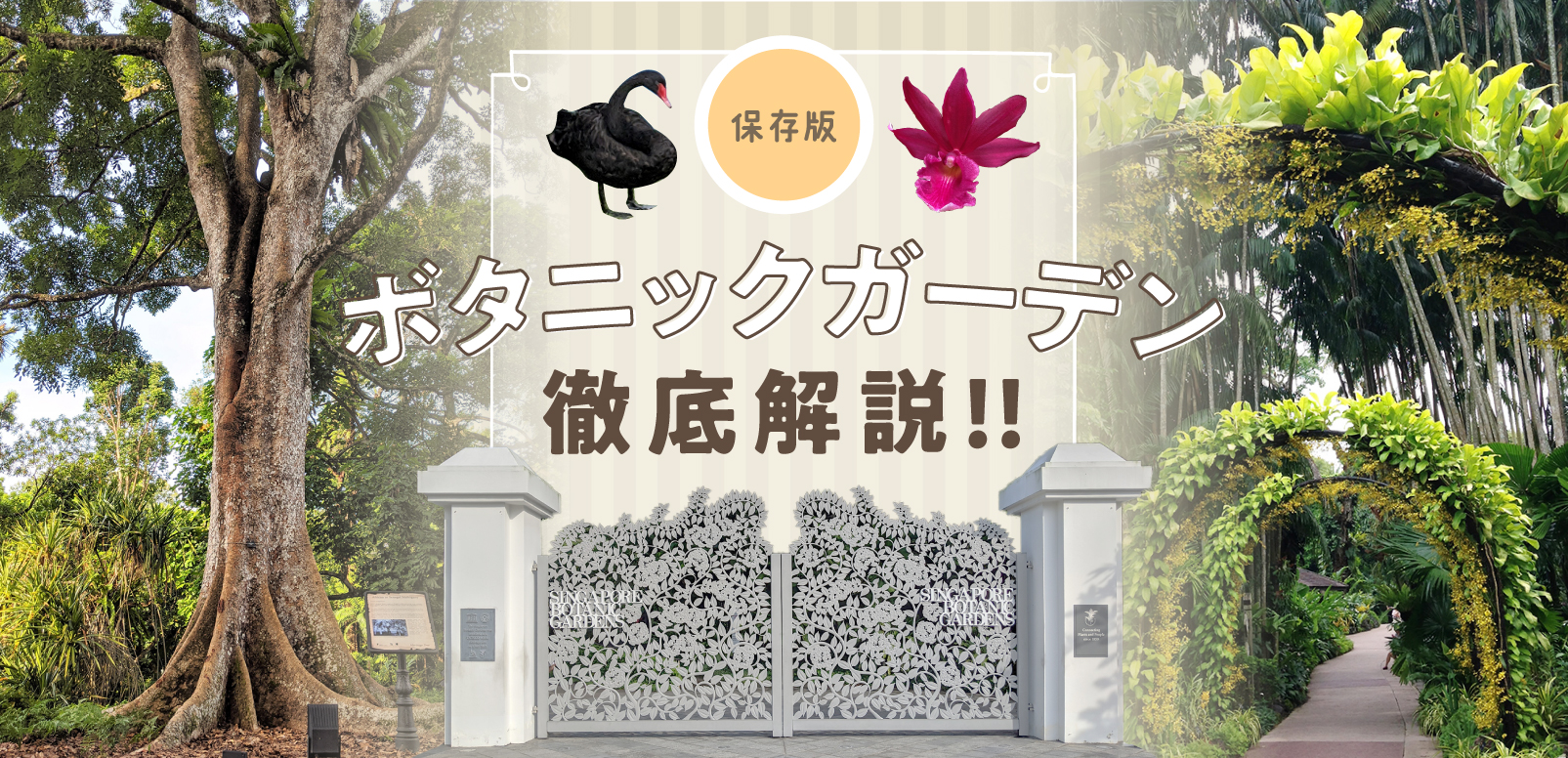 シンガポール唯一の世界遺産 ボタニックガーデン 近所に住んで通い詰めたからこそ分かる知られていない見どころも一挙に紹介 Singalife 在シンガポール日本人向けのフリーマガジン グルメ 習い事 ビジネス 教育など充実の内容満載のウェブサイト