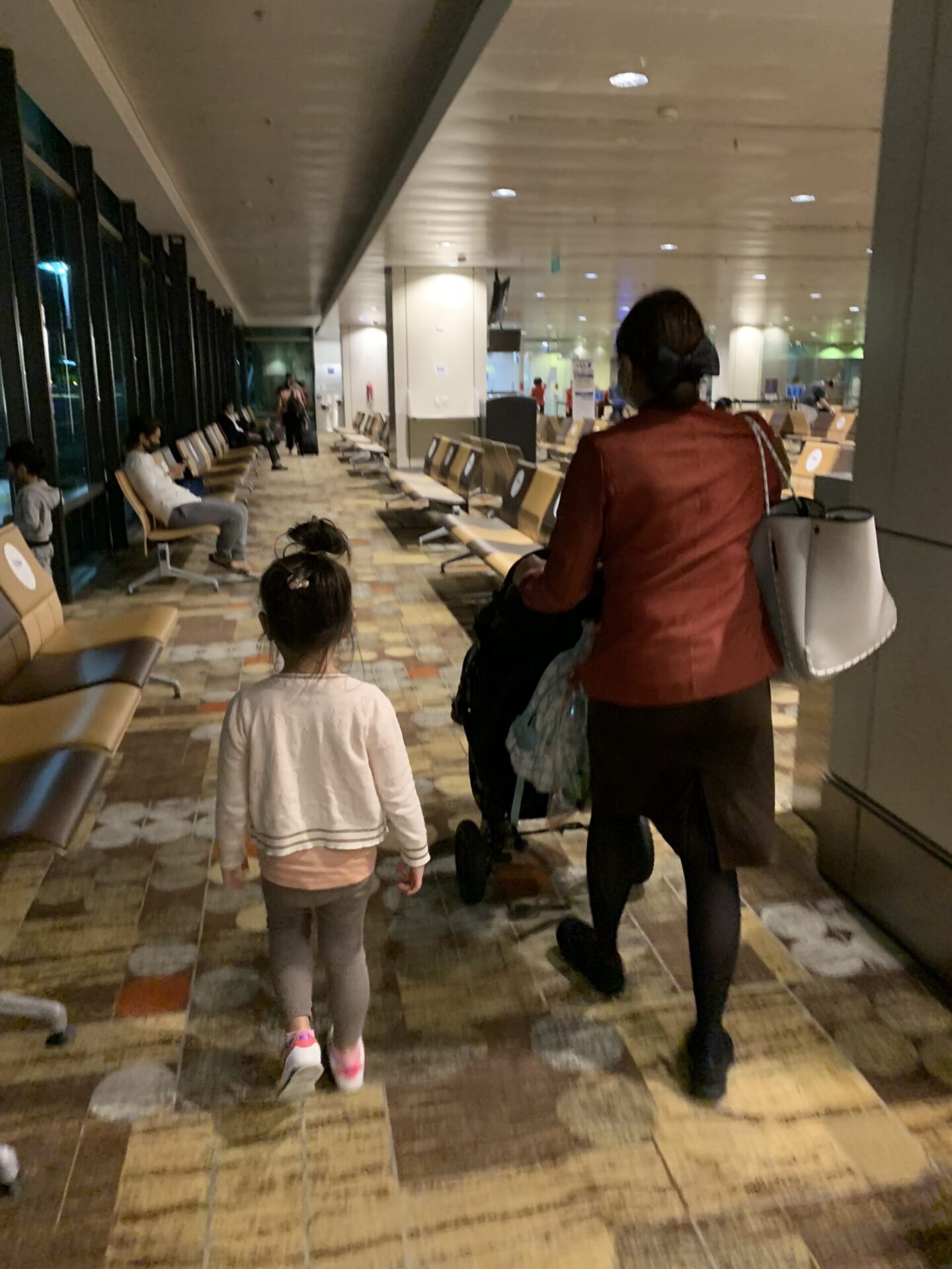 【6月一時帰国レポート】娘2人を連れてシンガポールから日本へ。新型コロナ対応のハイヤーを事前手配。
