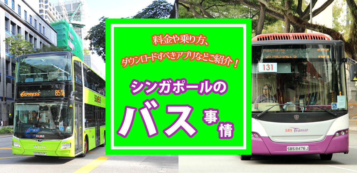 シンガポールのバス事情 料金や乗り方 ダウンロードすべきアプリなどご紹介 Singalife 在シンガポール 日本人向けのフリーマガジン グルメ 習い事 ビジネス 教育など充実の内容満載のウェブサイト シンガポールのバス事情 料金や乗り方 ダウンロードすべきアプリなどご紹介 Singalife 在シンガポール 日本人向けのフリーマガジン グルメ 習い事 ビジネス 教育など充実の内容満載のウェブサイト
