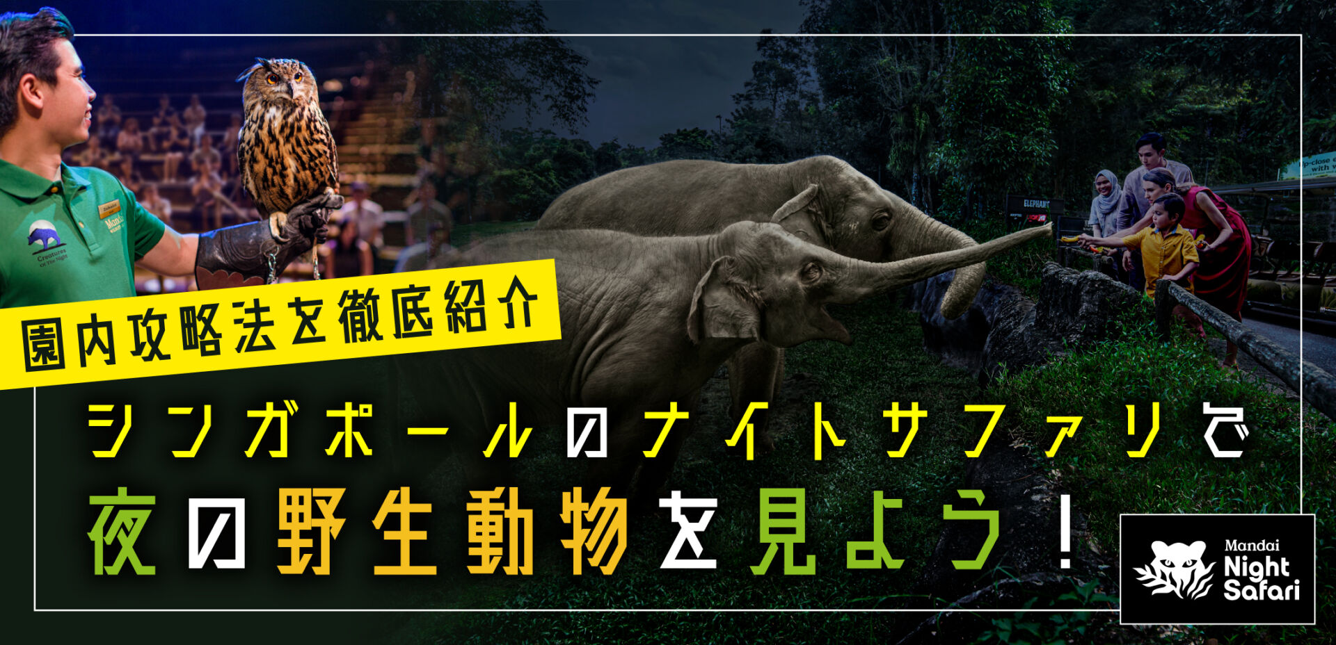 シンガポールのナイト サファリで夜の野生動物を見よう！園内攻略法を