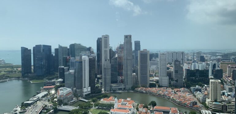 シンガポールのデング熱感染数、上半期合計18000件に迫る2021年累計の3倍超に：NEA