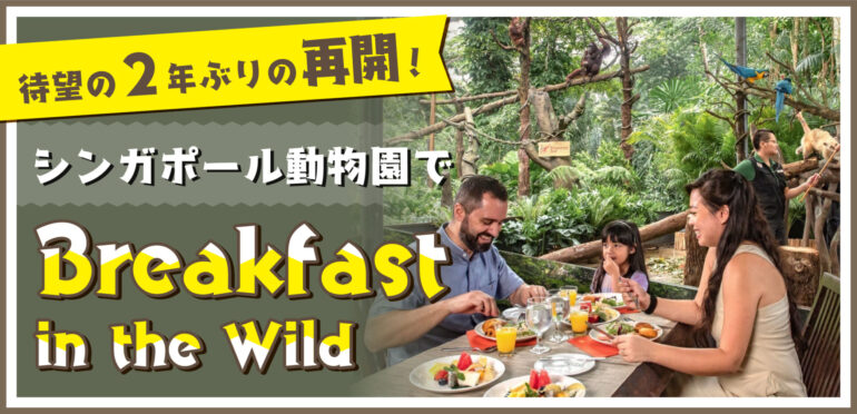 シンガポール動物園で朝食を「Breakfast in the Wild」待望の2年ぶりの再開！