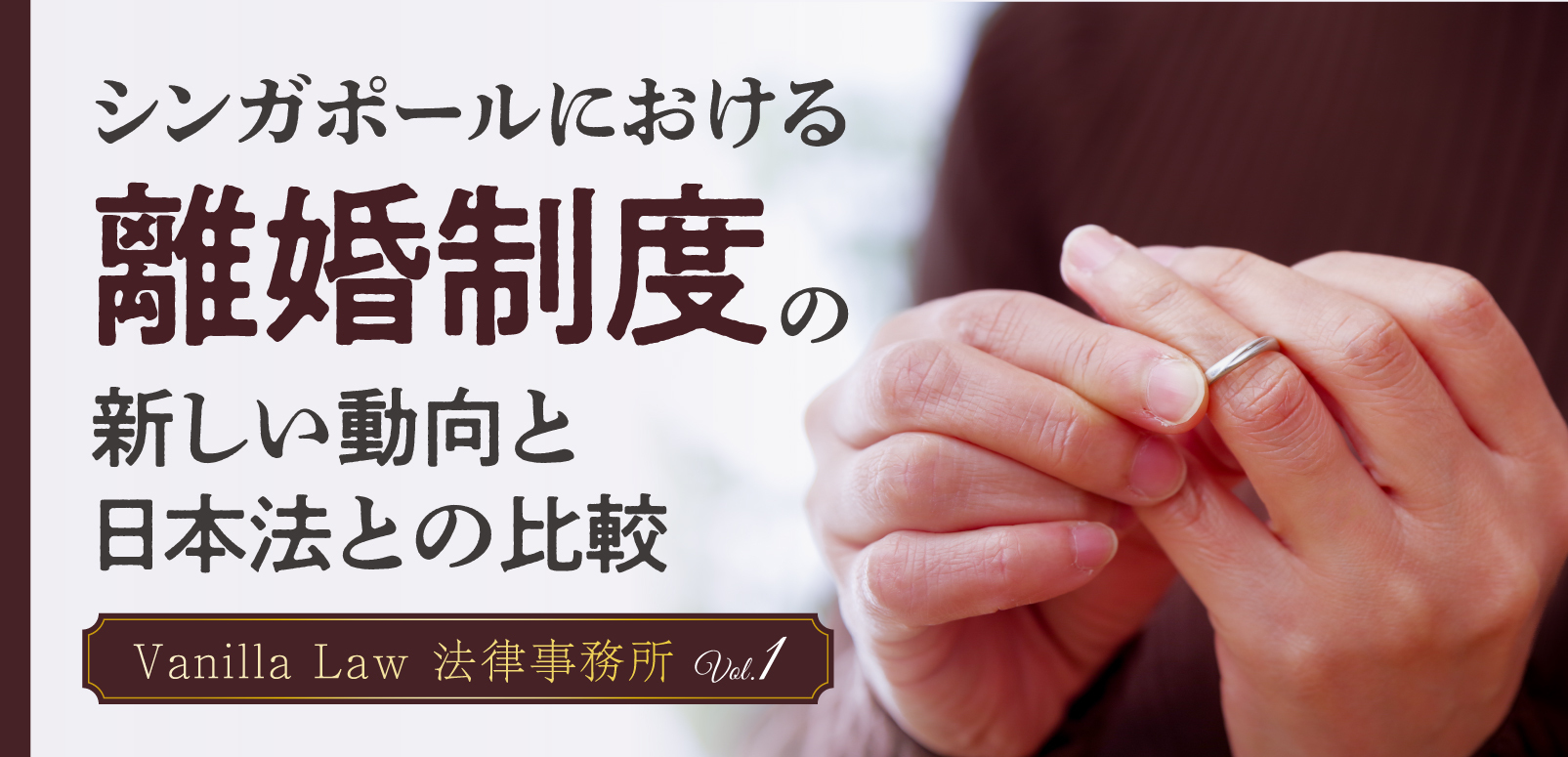 シンガポールにおける離婚制度の新しい動向と日本法との比較 Vanilla Law 法律事務所 Vol1 SingaLife 在