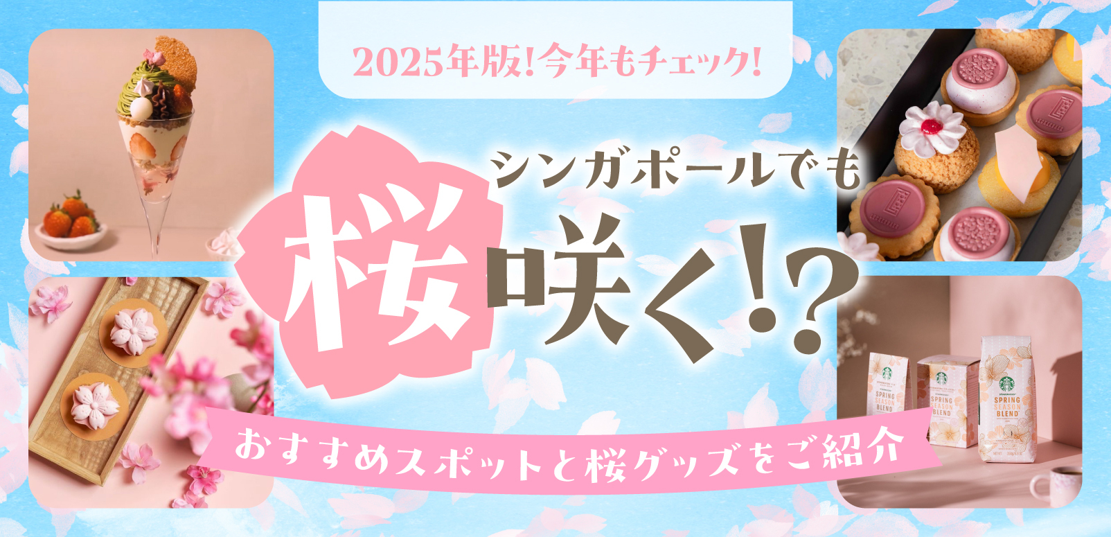 新品未開封　キストゥヘヴン　桜花賞　アバンティー　Ｓサイズ ◇シアーハイソックス(25D) 靴下（ソックス） | Doll Kiss